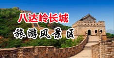 黄色免费日B网站中国北京-八达岭长城旅游风景区